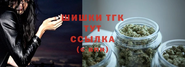 мдпв Осинники